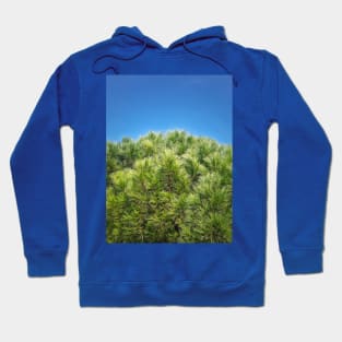 green pine and blue sky Hoodie